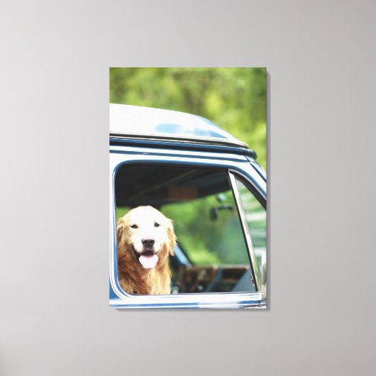 Dog in auto canvas afdruk (Voorkant)