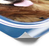 Dog in auto poster (Hoek)