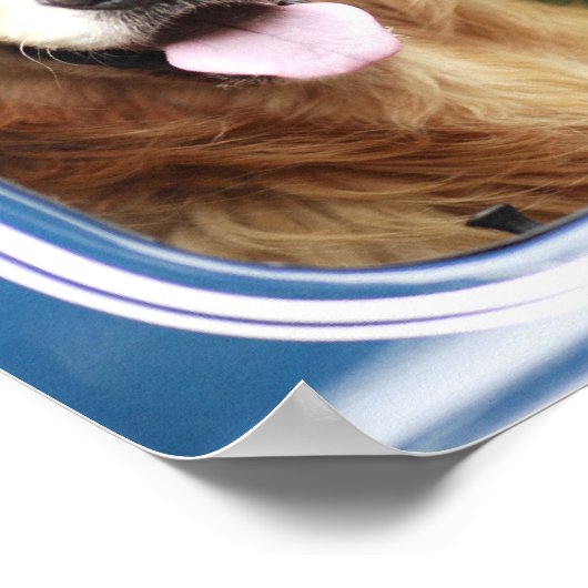 Dog in auto poster (Hoek)