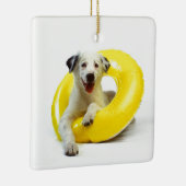 ***DOG IN BINNERTUBE** CHRISMAS ORNAMENT (Rechts)