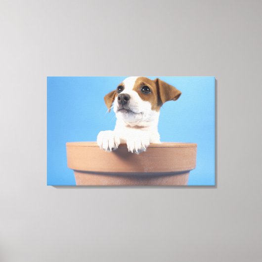 Dog in de bloempot canvas afdruk (Voorkant)