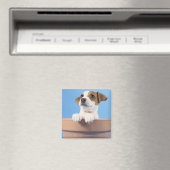 Dog in de bloempot magneet (Insitu (Vaatwasser))
