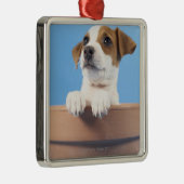 Dog in de bloempot metalen ornament (Rechts)