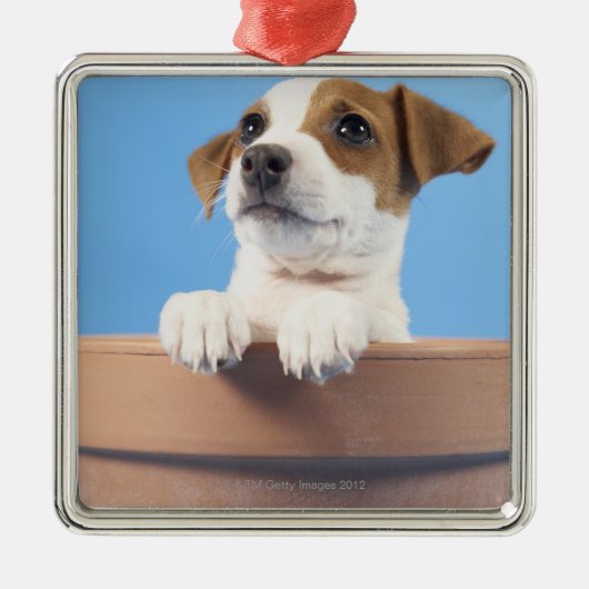 Dog in de bloempot metalen ornament (Voorkant)
