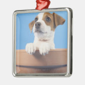 Dog in de bloempot metalen ornament (Links)