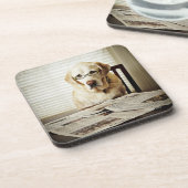 Dog in de ochtend routine drankjes onderzetter (Linkerzijde)