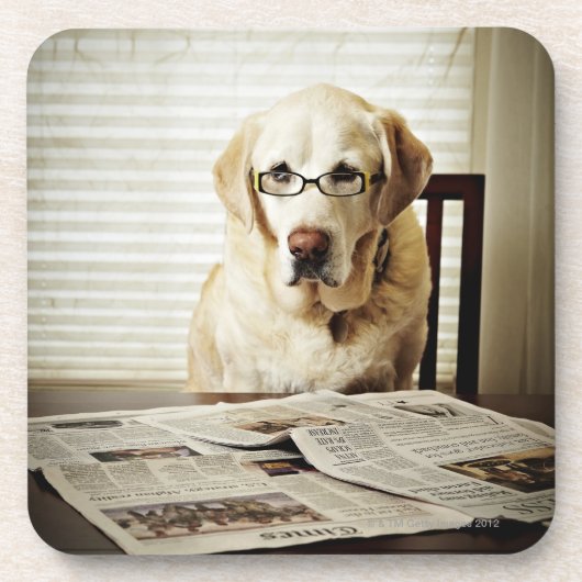 Dog in de ochtend routine drankjes onderzetter (Voorkant)
