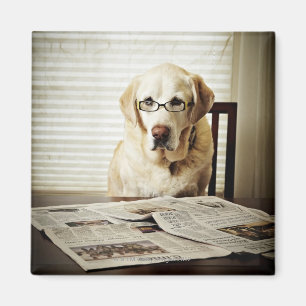 Dog in de ochtend routine magneet