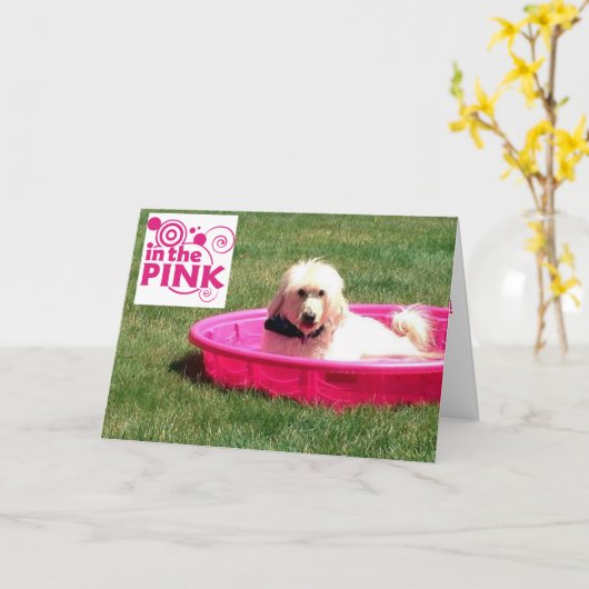 DOG-IN DE PINK/IN DE POOL OP UW GROTE DAG KAART (Gele Bloem)