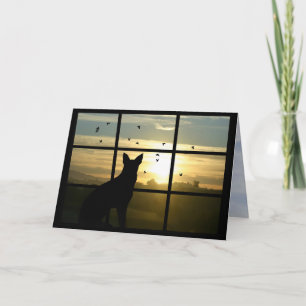 Dog in de Windows Dog Sympathisatiekaart Kaart