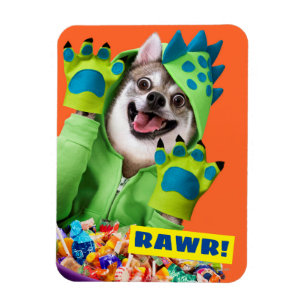 Dog in Dinosaur Costume Magneet