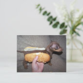 Dog in een Bun Briefkaart (Staand voorkant)