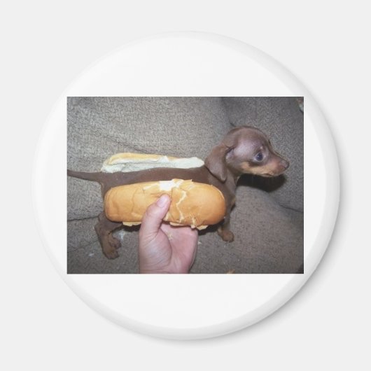 Dog in een Bun Magneet (Voorkant)