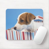 Dog in een cadeaudoos muismat (Met muis)
