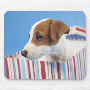 Dog in een cadeaudoos muismat