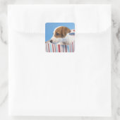 Dog in een cadeaudoos vierkante sticker (Tas)