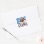 Dog in een cadeaudoos vierkante sticker (Envelop)