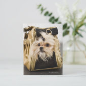 Dog in een handtas briefkaart (Staand voorkant)