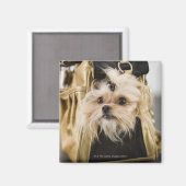 Dog in een handtas magneet (Voorkant / Achterkant)