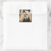 Dog in een handtas vierkante sticker (Tas)