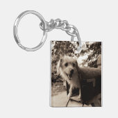 Dog In een postvak Sleutelhanger (Voorkant Links)