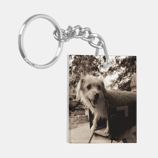 Dog In een postvak Sleutelhanger (Voorkant Links)