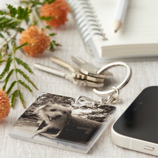 Dog In een postvak Sleutelhanger (Voorkant Rechts)