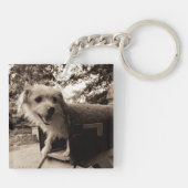 Dog In een postvak Sleutelhanger (Achterkant)