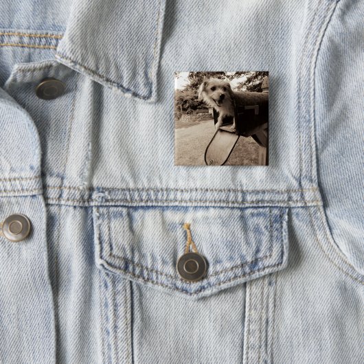 Dog In een postvak Vierkante Button 5,1 Cm (In situ)