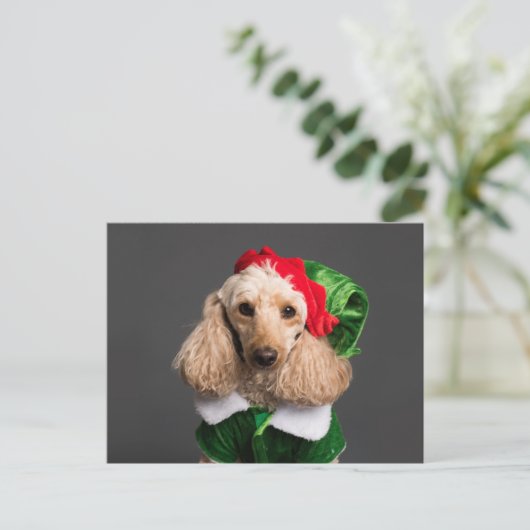 Dog in Elf Costume Briefkaart (Staand voorkant)