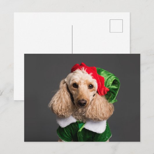 Dog in Elf Costume Briefkaart (Voorkant / Achterkant)