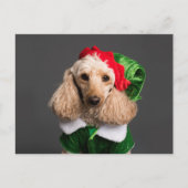 Dog in Elf Costume Briefkaart (Voorkant)