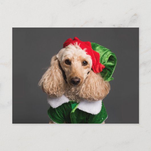 Dog in Elf Costume Briefkaart (Voorkant)