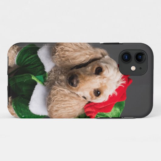 Dog in Elf Costume Case-Mate iPhone Case (Achterkant (horizontaal))