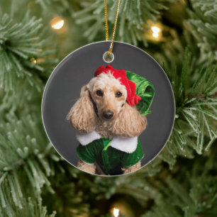Dog in Elf Costume Keramisch Ornament