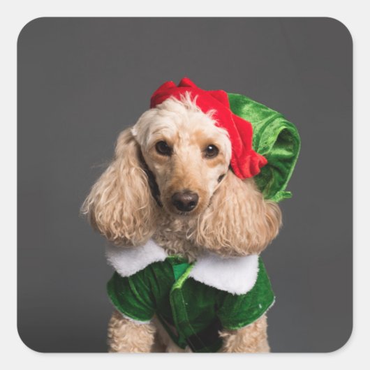 Dog in Elf Costume Vierkante Sticker (Voorkant)
