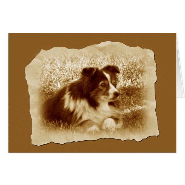  Dog in het Sepia Tones Wenskaart (Voorkant Horizontaal)