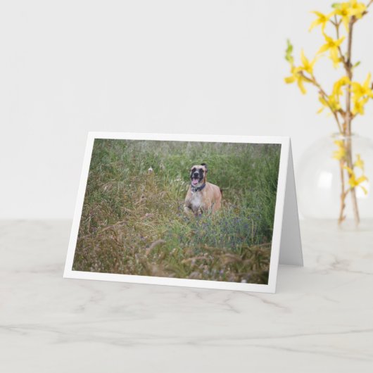 Dog in lange gras kaart (Gele Bloem)