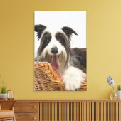 Dog in mandje 2 canvas afdruk (Insitu (Woonkamer))