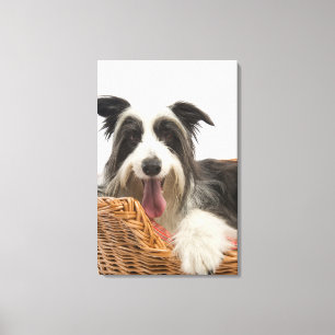 Dog in mandje 2 canvas afdruk