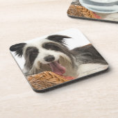 Dog in mandje 2 onderzetter (Linkerzijde)