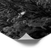 Dog in morning sunlight poster (Hoek)