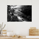 Dog in morning sunlight poster (Keuken)