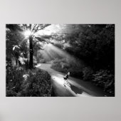 Dog in morning sunlight poster (Voorkant)