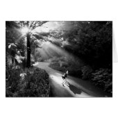 Dog in ochtendzonlicht (Voorkant Horizontaal)