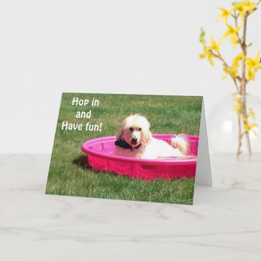 DOG IN POOL ZEGT JUMP IN EN GENIET UW BIRTHDAY KAART (Gele Bloem)