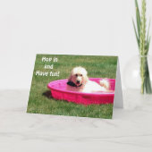 DOG IN POOL ZEGT JUMP IN EN GENIET UW BIRTHDAY KAART (Voorkant)