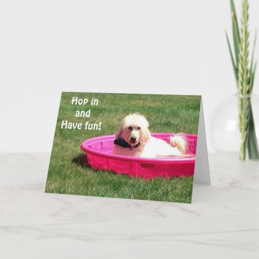 DOG IN POOL ZEGT JUMP IN EN GENIET UW BIRTHDAY KAART (Voorkant)