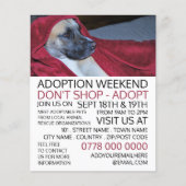 Dog in Red Blanket, Pet Adoption Event Advertising Flyer (Voorkant)
