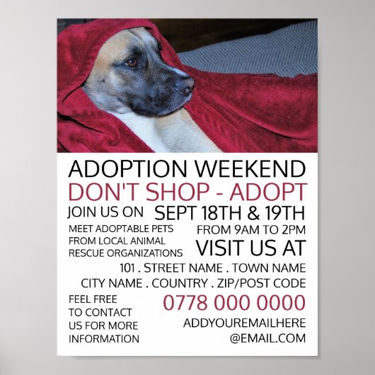 Dog in Red Blanket, Pet Adoption Event Advertising Poster (Voorkant)